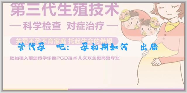試管代孕貼吧:懷孕初期如何測出胎兒性別？其他方法能測性別嗎？