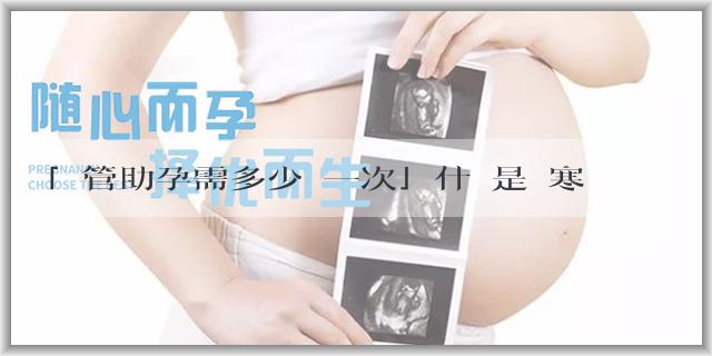 「試管助孕需多少錢一次」什麼是體寒？體寒的女人是不是容易胖？